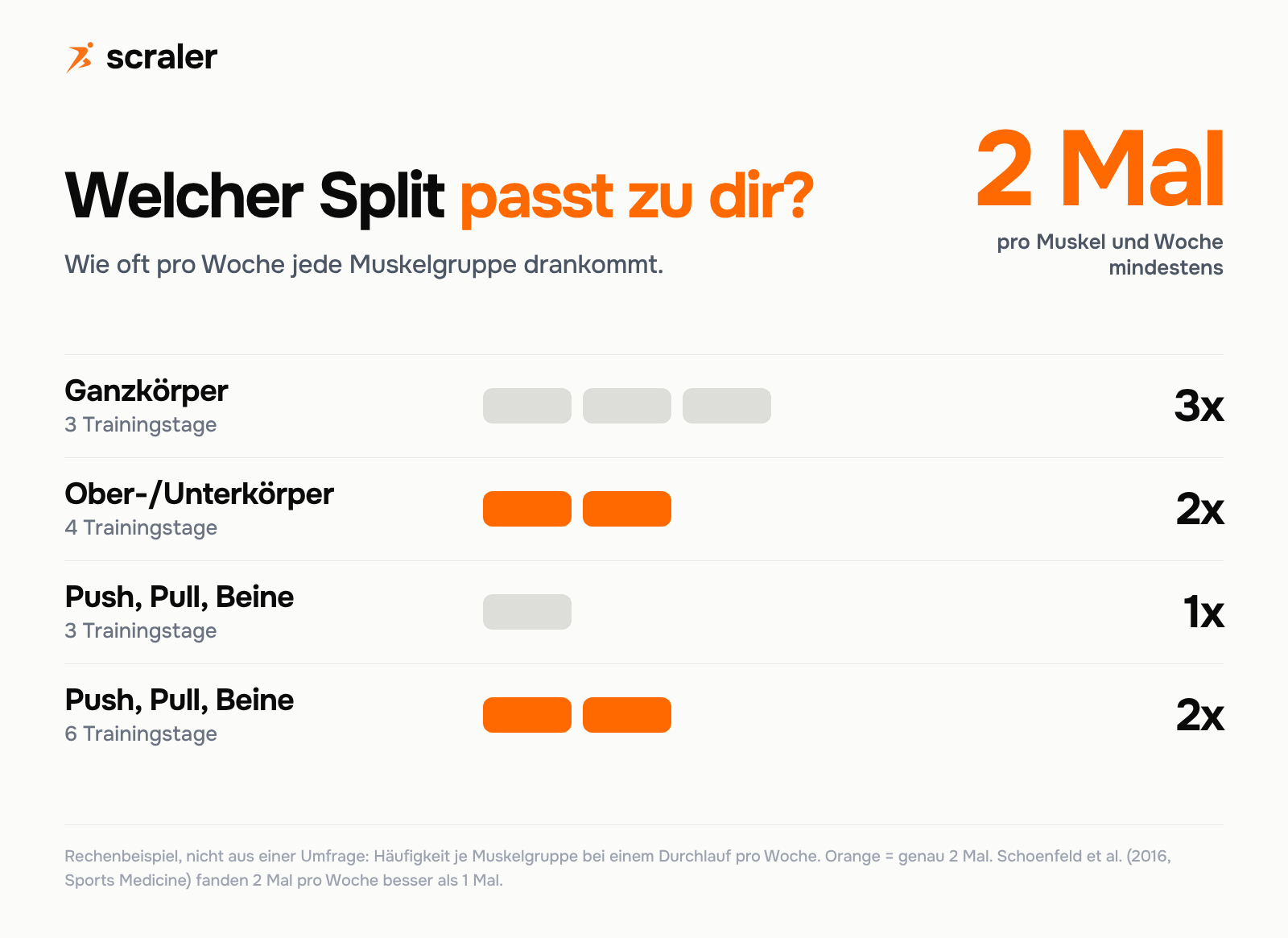 Trainingsplan Split Vergleich: Ganzkörper an 3 Tagen trainiert jede Muskelgruppe 3 Mal pro Woche, Ober-/Unterkörper an 4 Tagen 2 Mal, Push Pull Beine an 3 Tagen 1 Mal und an 6 Tagen 2 Mal