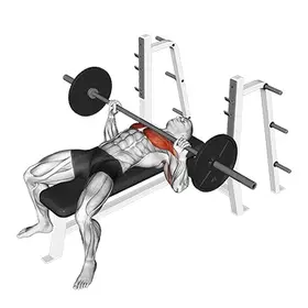 Barbell Bench Press exercise demo