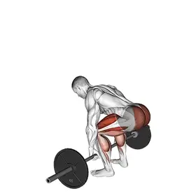 Barbell Deadlift exercise demo