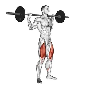 Barbell Squat exercise demo