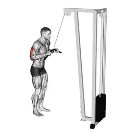 Cable Pushdown exercise demo