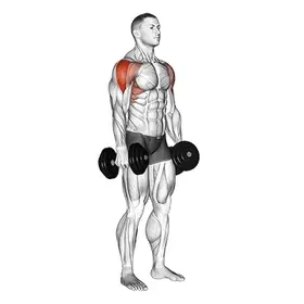 Lateral Raise exercise demo