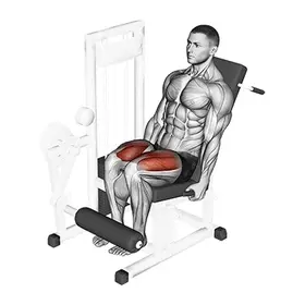 Leg Extension exercise demo