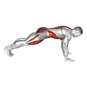Mountain Climber exercise demo