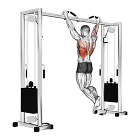 Pull Up exercise demo