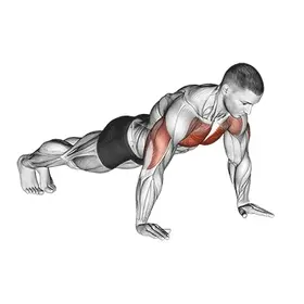 Push-Up exercise demo