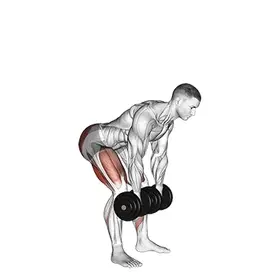 Romanian Deadlift exercise demo